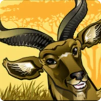 Koedoe-antilope