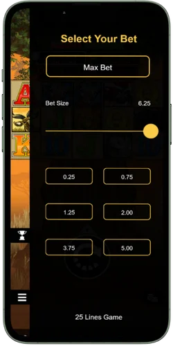 Mega Moolah bets
