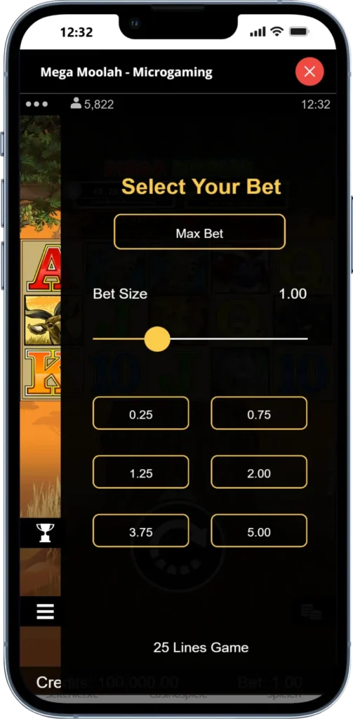 Mega Moolah stake setting