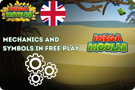 Mega Moolah symbols and paylines explained